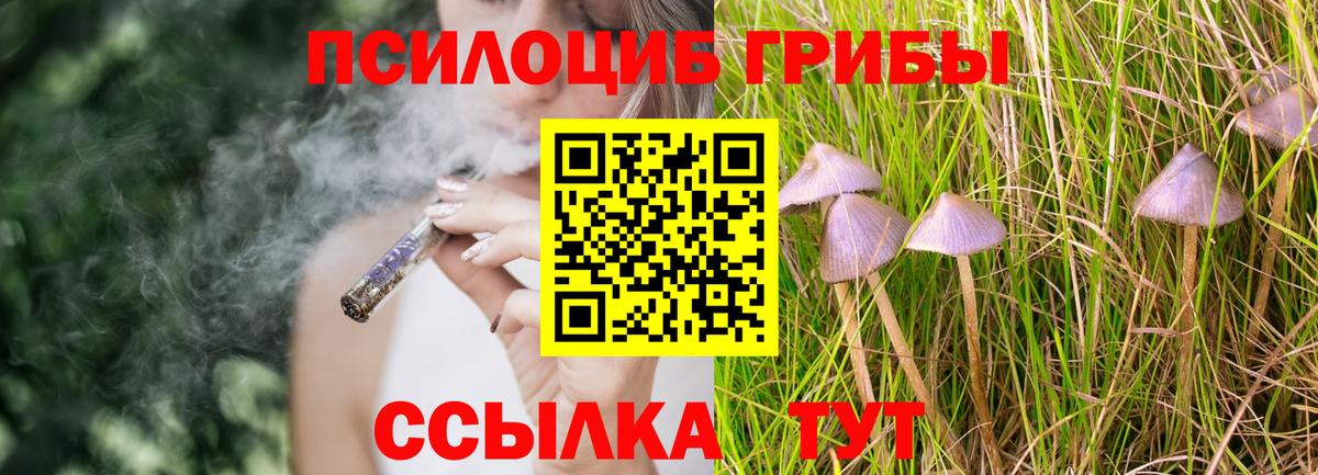 Псилоцибиновые грибы MAGIC MUSHROOMS Усть-Илимск